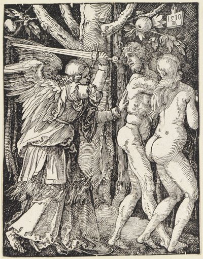  von Albrecht Dürer