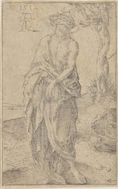  von Albrecht Dürer