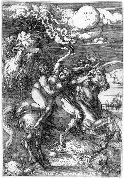  von Albrecht Dürer