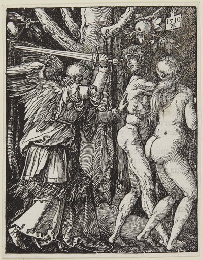 von Albrecht Dürer