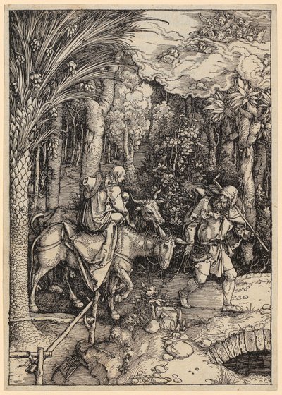  von Albrecht Dürer