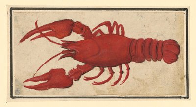  von Albrecht Dürer