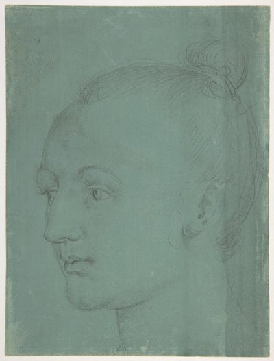  von Albrecht Dürer