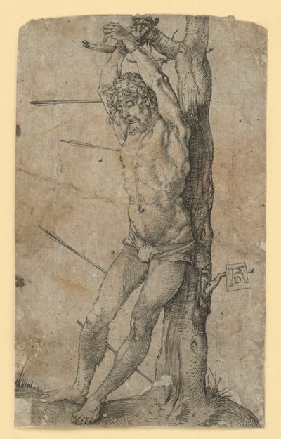  von Albrecht Dürer
