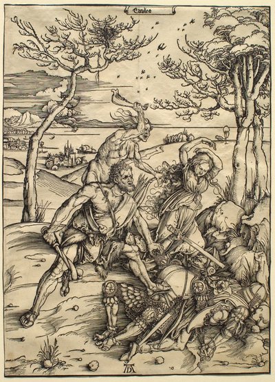  von Albrecht Dürer