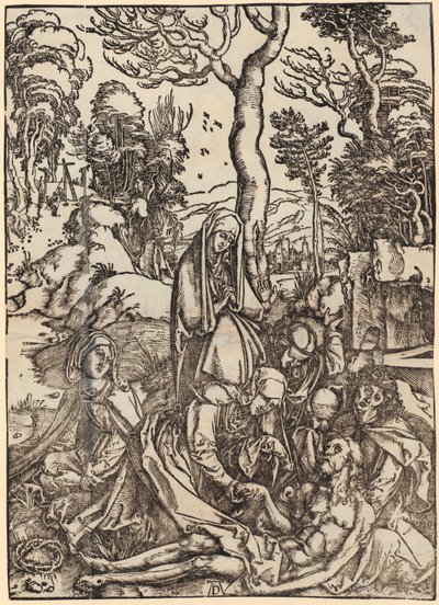  von Albrecht Dürer