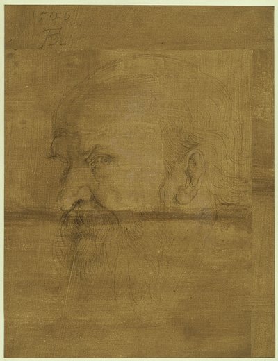  von Albrecht Dürer