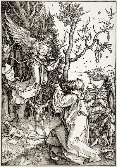 Das Leben der Jungfrau: Joachim und der Engel (Bartsch 78) von Albrecht Dürer