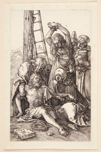  von Albrecht Dürer