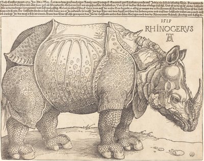 Das Nashorn von Albrecht Dürer