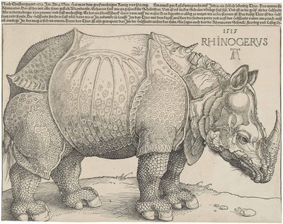 Das Nashorn von Albrecht Dürer