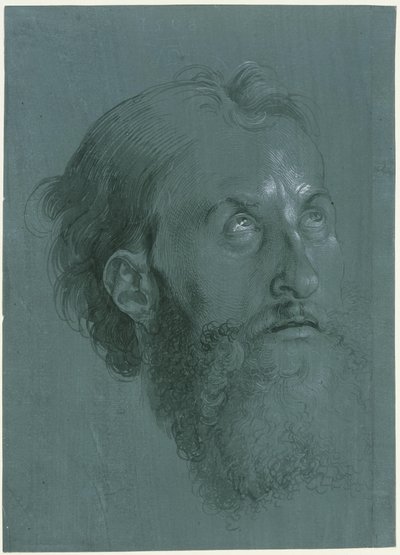  von Albrecht Dürer