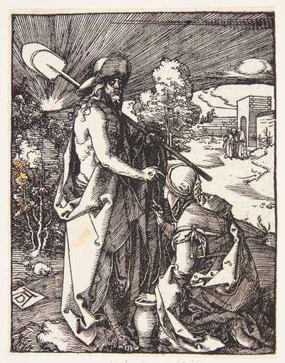  von Albrecht Dürer
