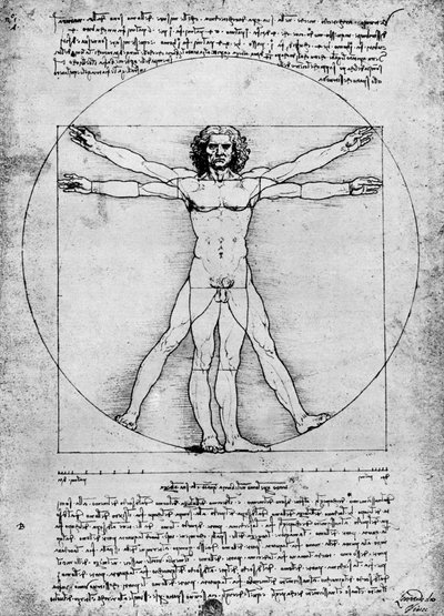 Proportionen der menschlichen Figur, ca. 1492, 1936 von Albrecht Dürer