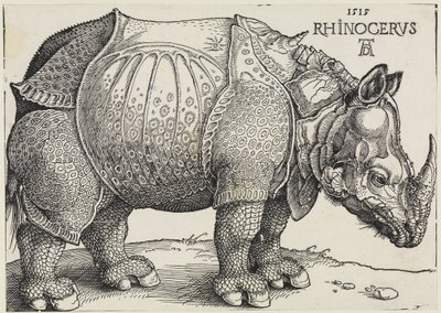  von Albrecht Dürer