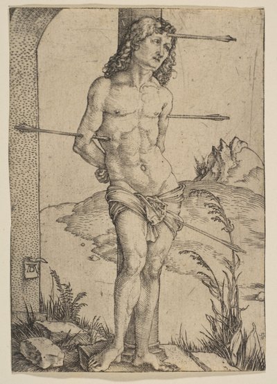  von Albrecht Dürer