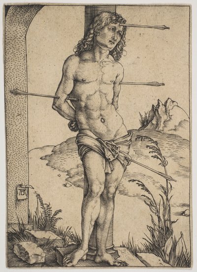  von Albrecht Dürer