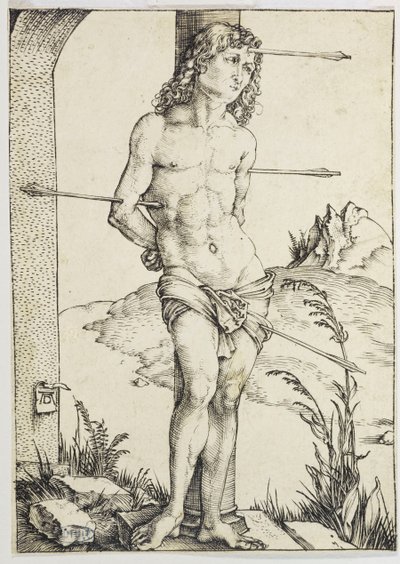  von Albrecht Dürer