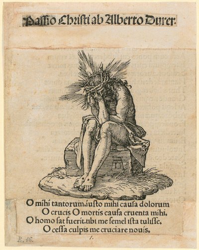  von Albrecht Dürer