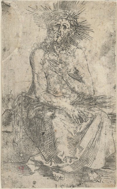  von Albrecht Dürer