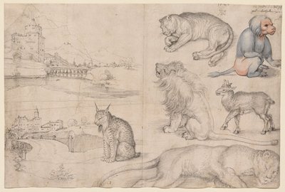 Skizzen von Tieren und Landschaften von Albrecht Dürer