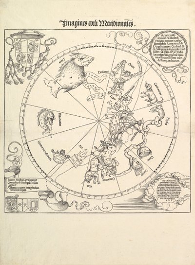 Der Himmelsglobus-Südliche Hemisphäre, 1515 von Albrecht Dürer