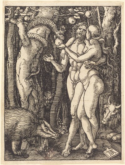 von Albrecht Dürer