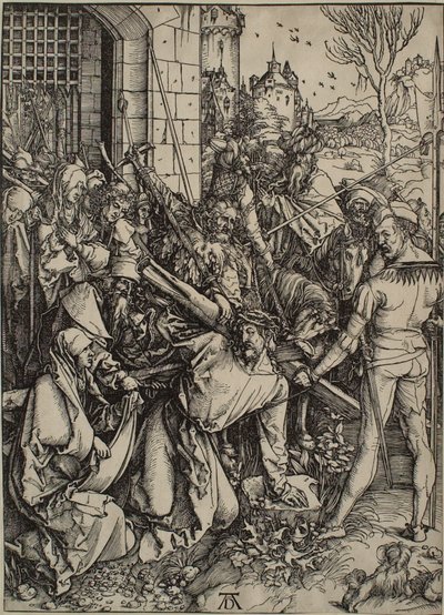  von Albrecht Dürer