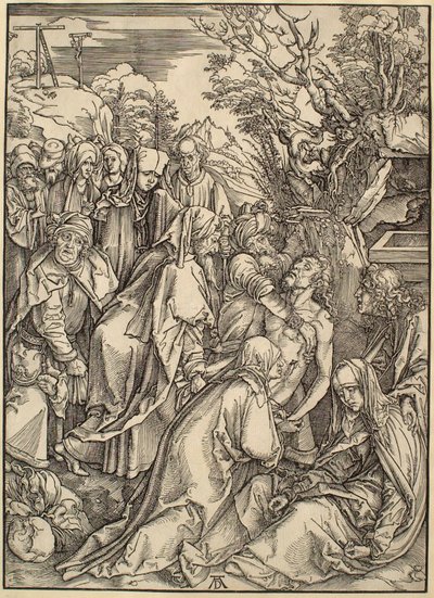  von Albrecht Dürer