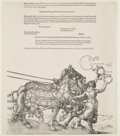  von Albrecht Dürer