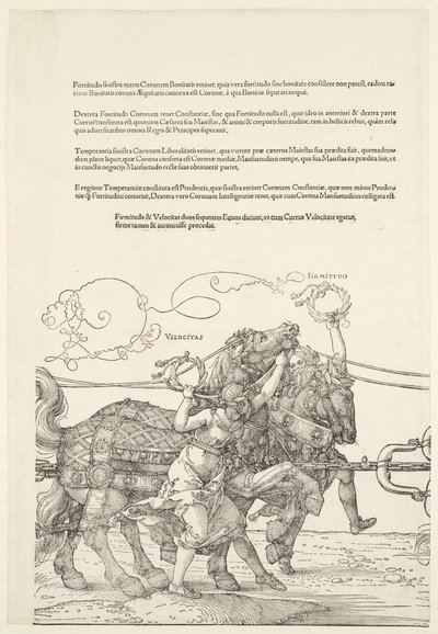  von Albrecht Dürer