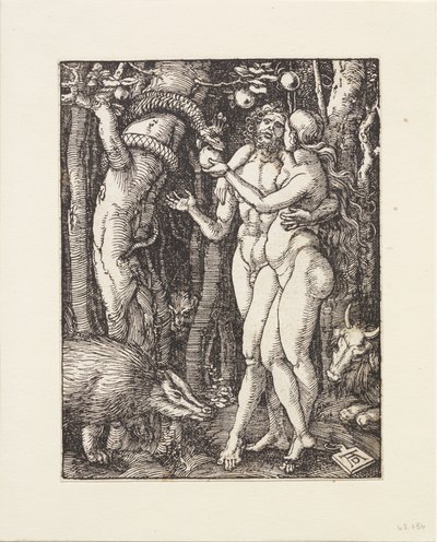  von Albrecht Dürer