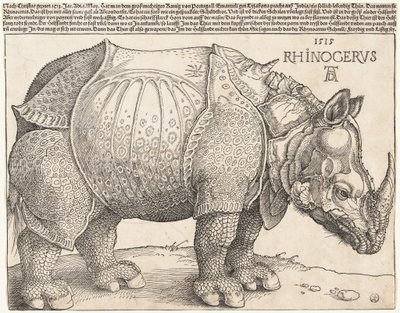  von Albrecht Dürer