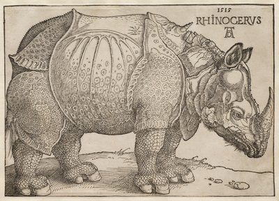  von Albrecht Dürer