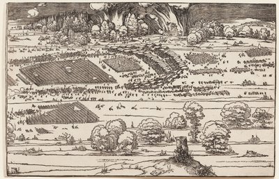  von Albrecht Dürer