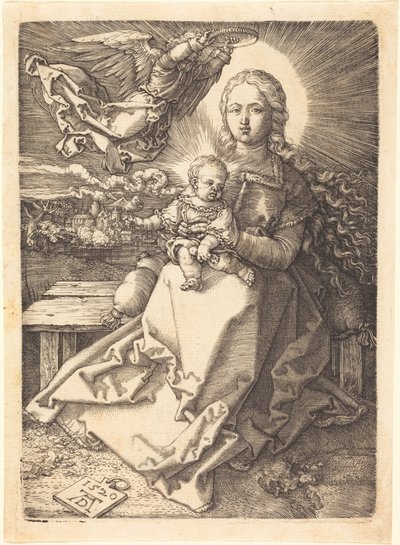  von Albrecht Dürer