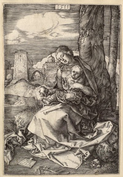  von Albrecht Dürer