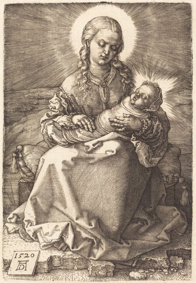  von Albrecht Dürer