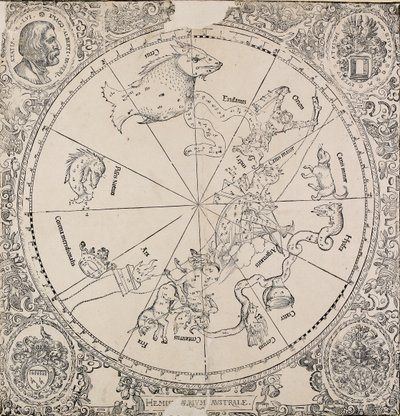 Die himmlische Karte der südlichen Hemisphäre, frühes 16. Jahrhundert von Albrecht Dürer