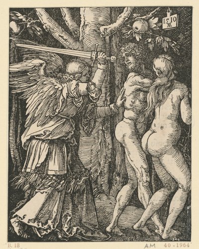  von Albrecht Dürer