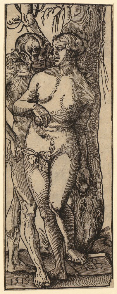  von Albrecht Dürer