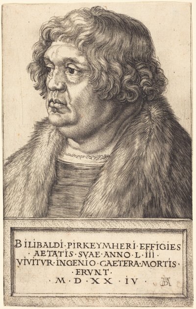  von Albrecht Dürer
