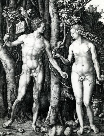 Adam und Eva von Albrecht Dürer