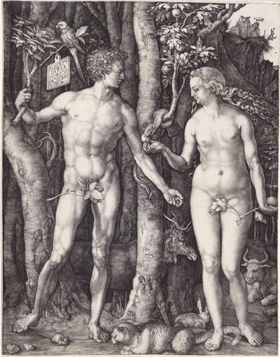 Adam und Eva, veröffentlicht 1504 (Gravur) von Albrecht Dürer
