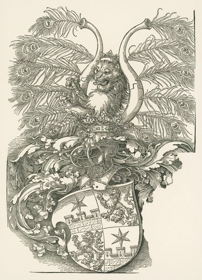 Wappen von Roggendorf von Albrecht Dürer or Duerer