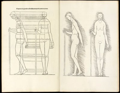 Frau mit Stab, anatomischer Holzschnitt aus Hierinn sind begriffen vier Bücher von menschlicher Proportion, 1528 von Albrecht Dürer
