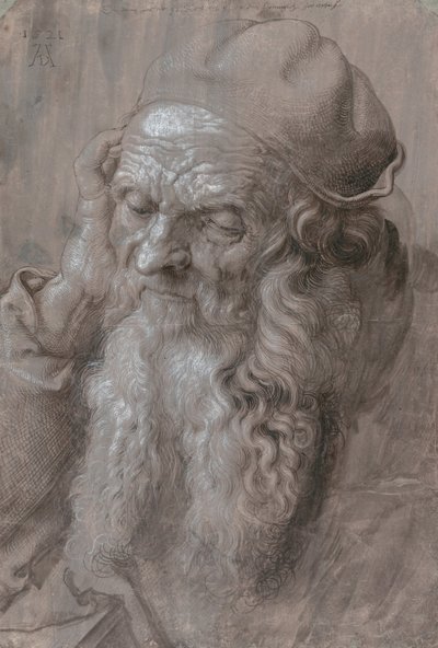 Kopf eines alten Mannes von Albrecht Dürer