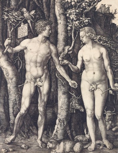 Der Sündenfall von Albrecht Dürer von Albrecht Dürer
