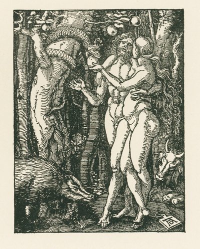 Der Sündenfall von Albrecht Dürer or Duerer