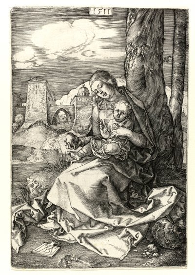 Die Madonna mit der Birne von Albrecht Dürer